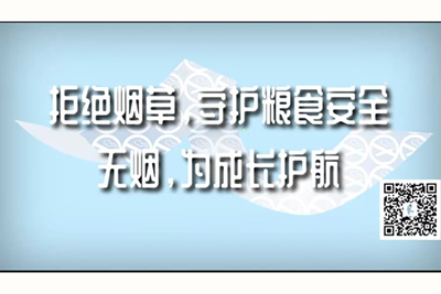 91在线无精精品秘久色入口拒绝烟草，守护粮食安全